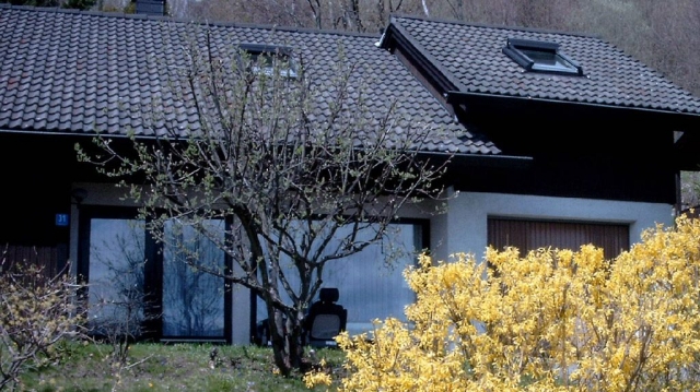 Ferienhaus Rhöndistel - Frühling